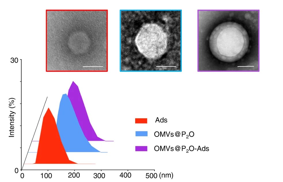 Open access visualization of Line Plot, Microscopy, TEM, Size Distribution, Ads