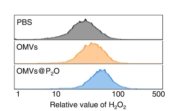 Open access visualization of Density Plot, Line Plot, ROS Level, TC-1 Cells, Flow Cytometry