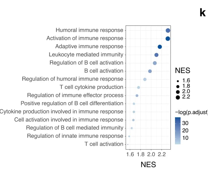 Open access visualization of Bubble Plot, GSEA, Enriched Pathways, Upregulated Genes, OMVs@P 2 O-Ads