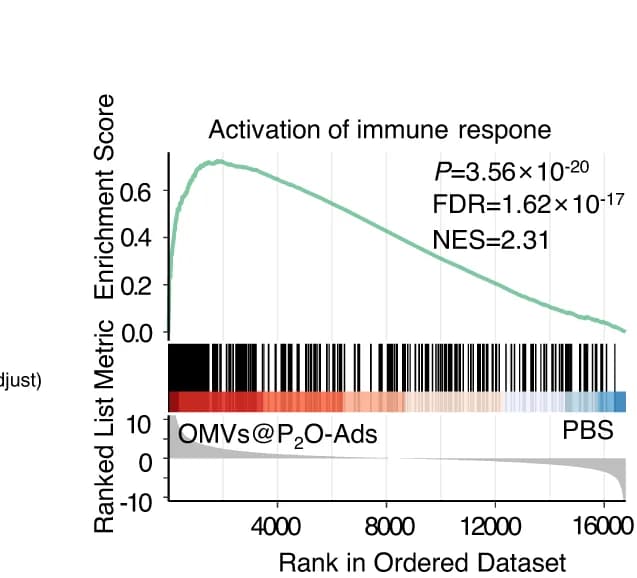 Open access visualization of Line Plot, Density Plot, Gene Set Enrichment Analysis, GSEA, Activation of Immune Response