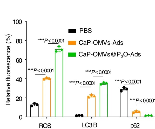 Open access visualization of Bar Plot, Error Bars, Quantitative analysis, Fluorescence intensity