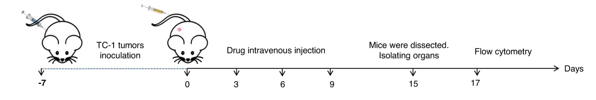 Open access visualization of Workflow, Illustration, Antitumor activity, Immunity investigation, Biomineralized microbial nanocomposite