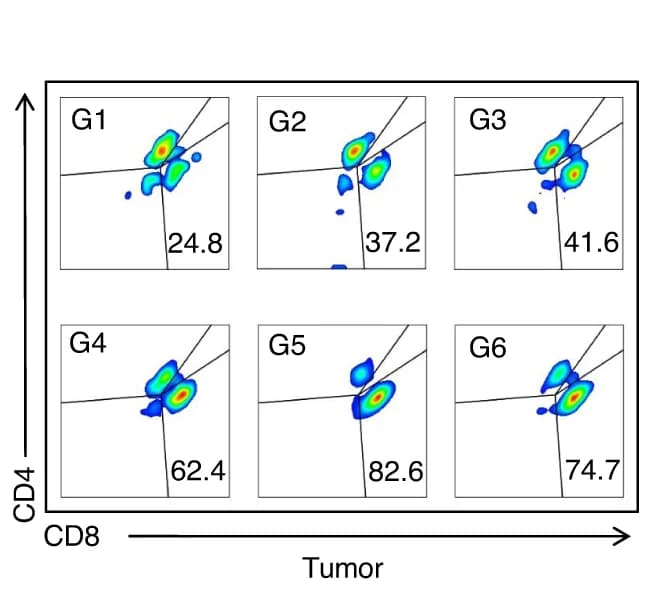 Open access visualization of Scatter Plot, Flow Cytometry, CD8+ T Cells, Tumor