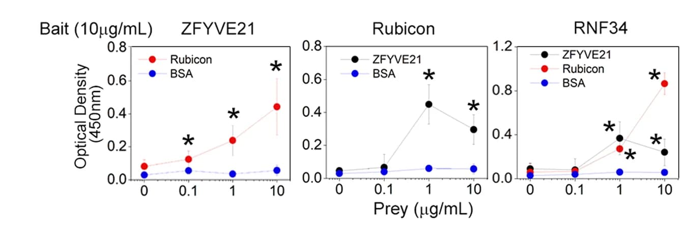 Open access visualization of Line Plot, Error Bars, ZFYVE21, Rubicon, RNF34