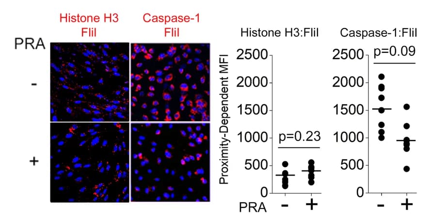 Open access visualization of Scatter Plot, Microscopy, HUVECs, PRA, PLA Assays