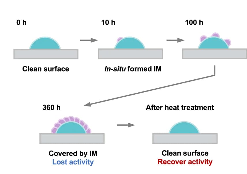Open access visualization of Workflow, Illustration, Schematic diagram, Deactivation, Recovery processes