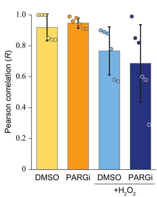 Open access visualization of Bar Plot, Error Bars, Pearson Correlation, ADPr Sites