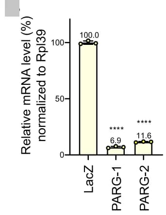 Open access visualization of Bar Plot, Error Bars, Gene Expression Analysis, RT-qPCR, S2R+ Cells
