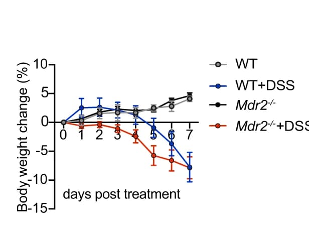 Open access visualization of Line Plot, Error Bars, Body weight