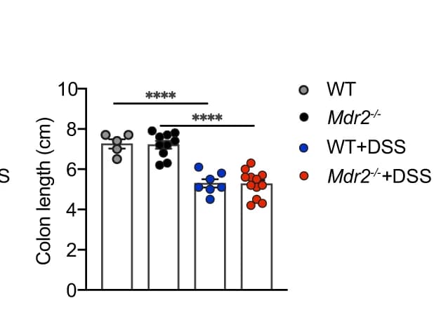 Open access visualization of Bar Plot, Scatter Plot, Colon Length, Mice