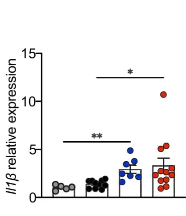 Open access visualization of Bar Plot, Error Bars, mRNA Expression, Liver, Il1β