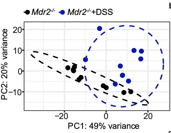 Open access visualization of Scatter Plot, PCA, Principal Component Analysis, Liver, RNA-seq