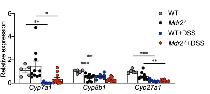 Open access visualization of Bar Plot, Scatter Plot, Error Bars, mRNA Expression, Bile Acid Synthesis