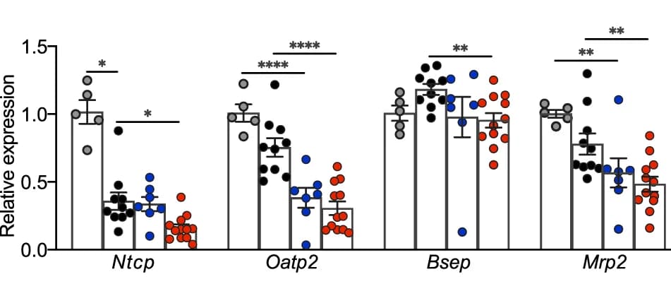 Open access visualization of Bar Plot, Scatter Plot, Error Bars, mRNA Expression, Bile Acid Trafficking