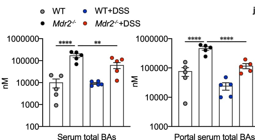 Open access visualization of Bar Plot, Error Bars, Scatter Plot, Total Bile Acids, Serum