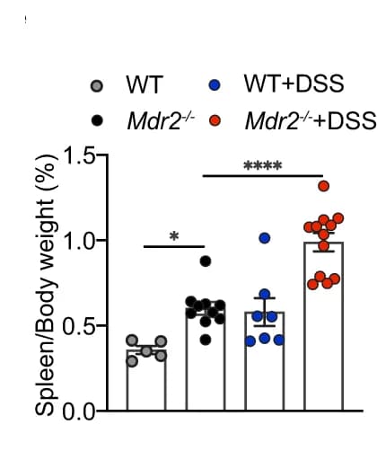 Open access visualization of Bar Plot, Scatter Plot, Error Bars, Spleen to Body Weight Ratio, Wild Type