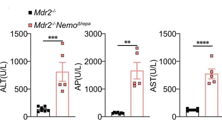 Open access visualization of Bar Plot, Error Bars, Serum, ALT, AP