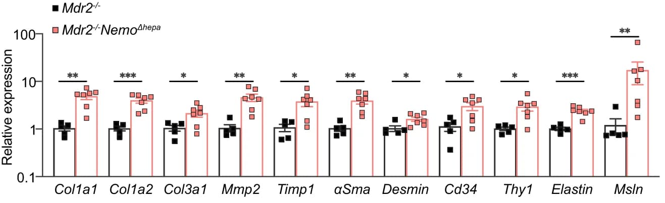 Open access visualization of Bar Plot, Error Bars, Scatter Plot, Liver, mRNA expression