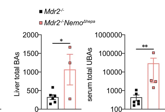 Open access visualization of Bar Plot, Error Bars, Scatter Plot, Bile acids, Liver