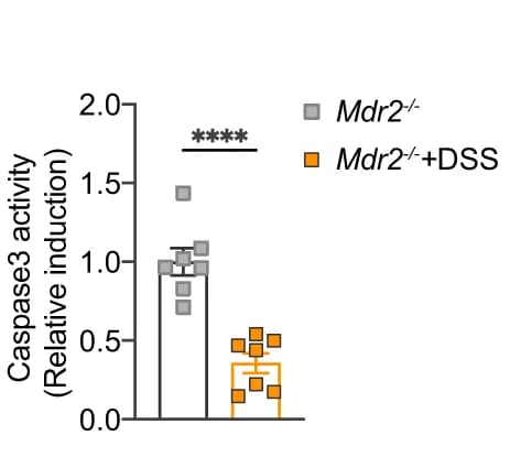 Open access visualization of Bar Plot, Error Bars, Liver, Caspase 3 activity, DSS treatment