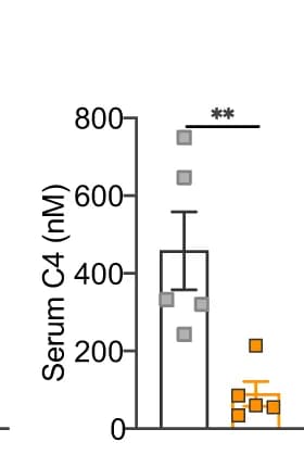 Open access visualization of Bar Plot, Error Bars, Gene expression, Bile acid metabolism, Mrp2