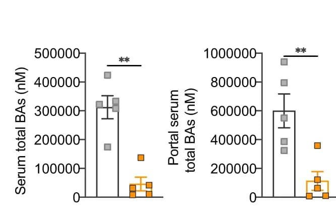 Open access visualization of Bar Plot, Error Bars, Scatter Plot, Total bile acids, Serum
