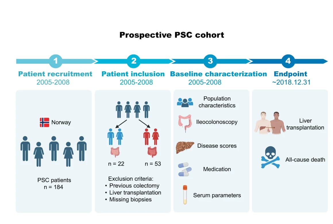 Open access visualization of Workflow, Flowchart, Illustration, Study Design, PSC Cohort