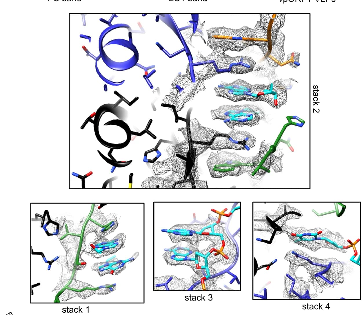 Open access visualization of Protein Structure, Chemical Structure, AdSDV, Genome, Interior Surface