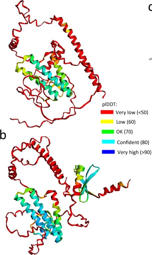 Open access visualization of Protein Structure, Acheta Domesticus, Densovirus, vpORF3 Protein, AlphaFold2