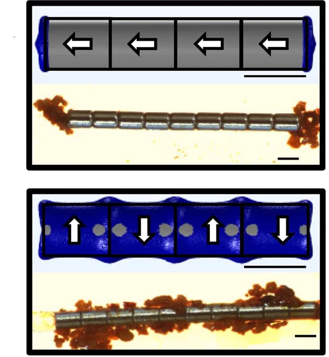 Open access visualization of Illustration, Magnetic Gradient, Magnetic Stone, Magnets, Axial Polarity