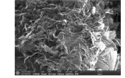 Open access visualization of Microscopy, SEM, COM, COD, Uncoated Stone