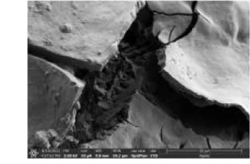Open access visualization of Microscopy, CF Hydrogel, Stone
