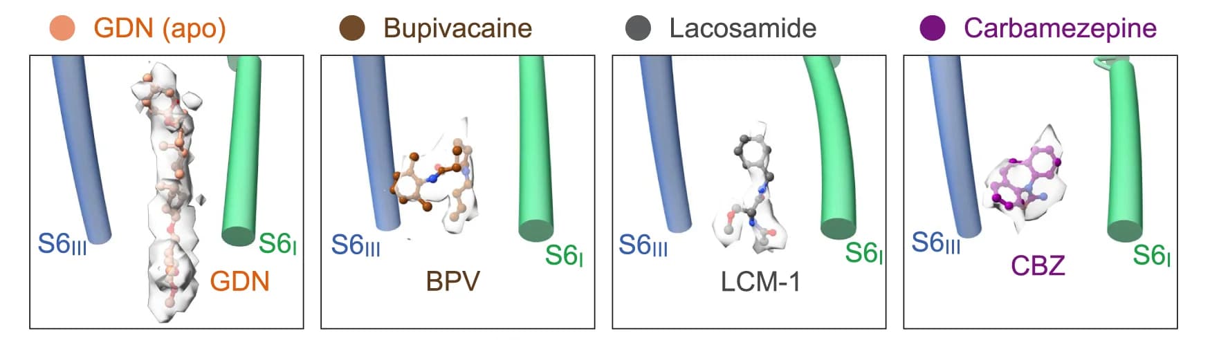 Open access visualization of Protein Structure, Chemical Structure, Drugs, Chemical Structures, Densities