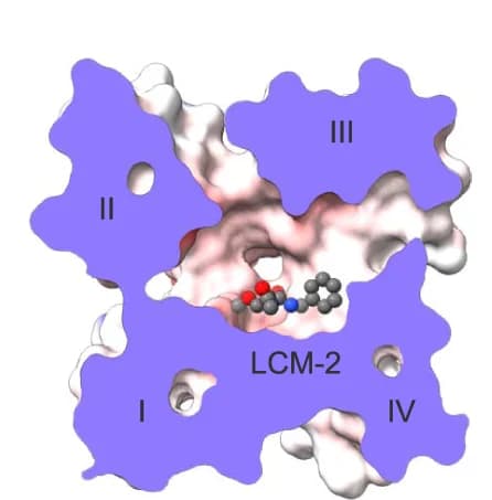 Open access visualization of Protein Structure, Chemical Structure, Electrostatic surface, Nav1.7, Lacosamide