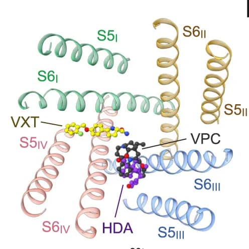Open access visualization of Protein Structure, Chemical Structure, VPC, HDA, VXT