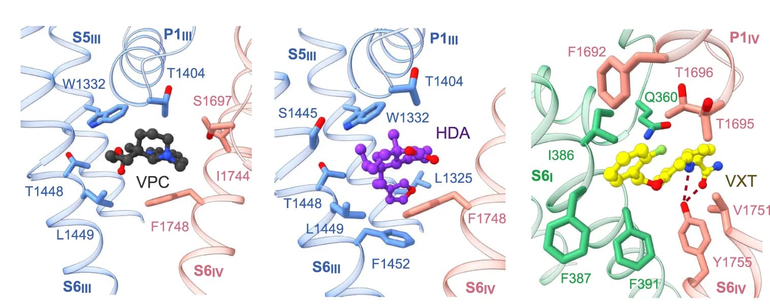 Open access visualization of Protein Structure, Chemical Structure, VPC, HDA, VXT