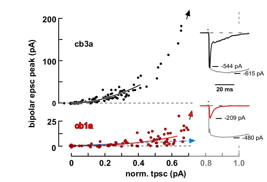 Open access visualization of Scatter Plot, Line Plot, Scatterplot, cb3a, cb1a