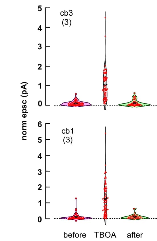 Open access visualization of Violin Plot, Box Plot, Scatter Plot, TBOA, EPSC