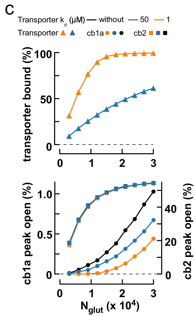 Open access visualization of Line Plot, Channel Open Probability, cb2 Cell AMPA Receptors, cb1a Cell Receptors, Monte Carlo Simulation