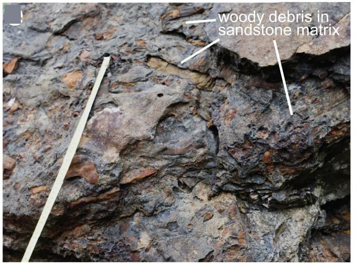 Open access visualization of Photo, Debris Bed, Sandstone, Lithofacies