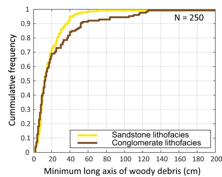 Open access visualization of Line Plot, Line Step, Frequency Distribution, Debris Fossils, Sandstone