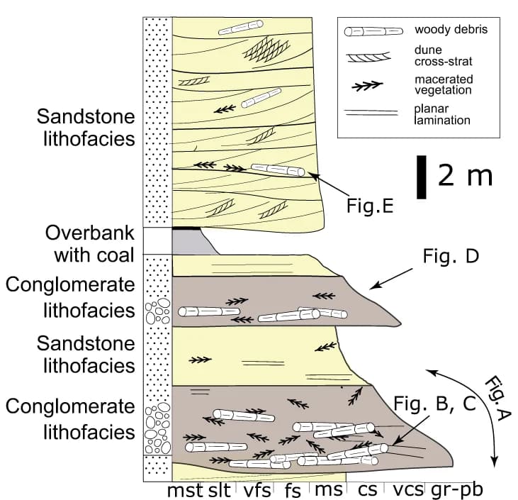 Open access visualization of Illustration, Schematic Log, Conglomerate, Sandstone, Lithofacies