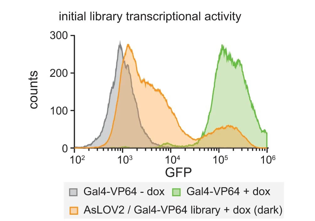 Open access visualization of Line Plot, Density Plot, Single-cell, GFP Distribution, Initial Library
