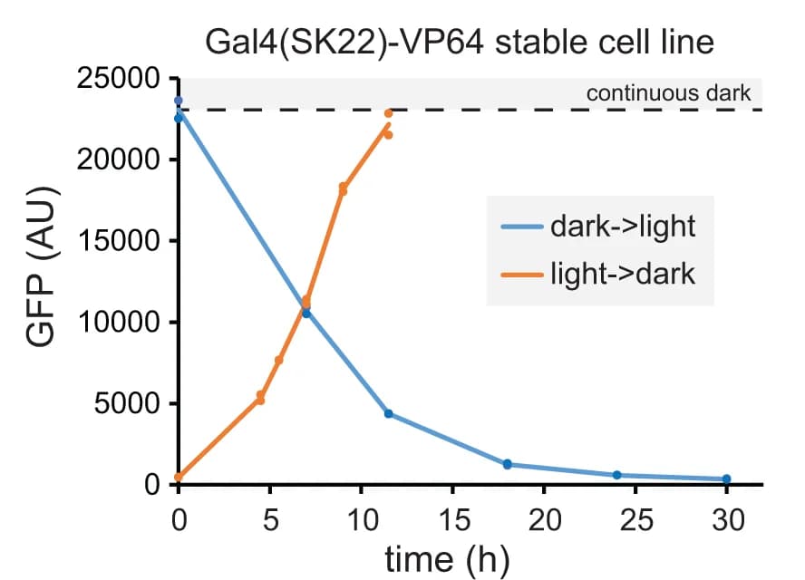 Open access visualization of Line Plot, Reversibility, Kinetics, LightsOut transcription factor, GFP expression