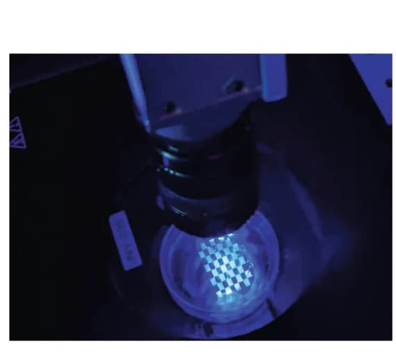 Open access visualization of Photo, Spatial illumination, Patterning, LightsOut-expressing cells, GFP expression