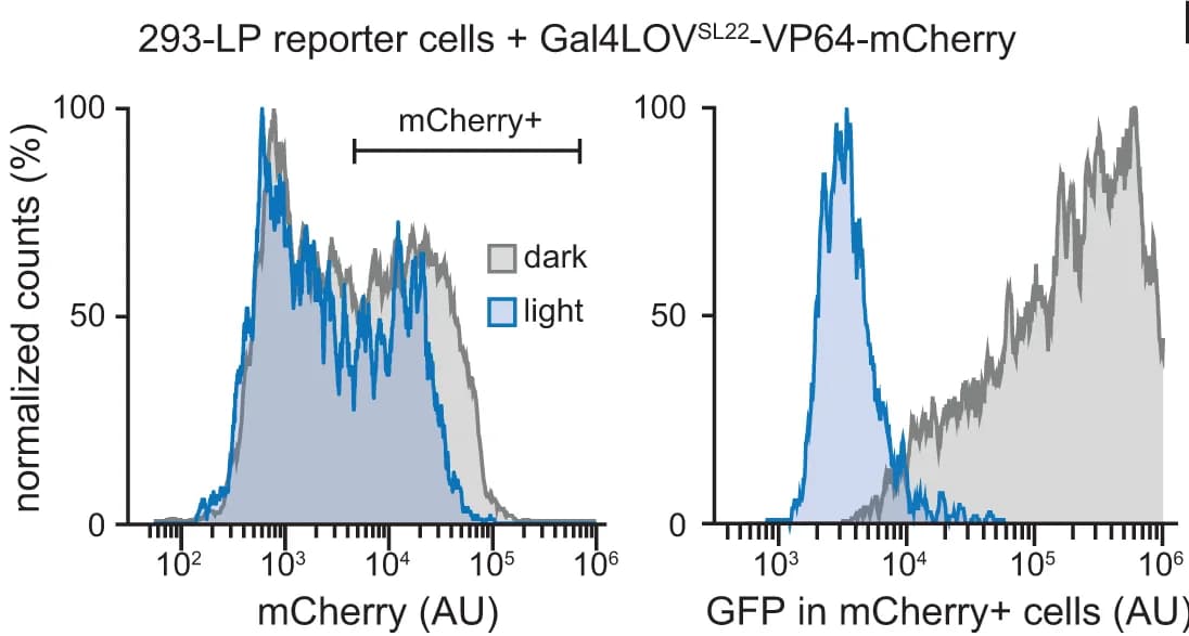 Open access visualization of Line Plot, Density Plot, mCherry, GFP, 293-LPR Cells