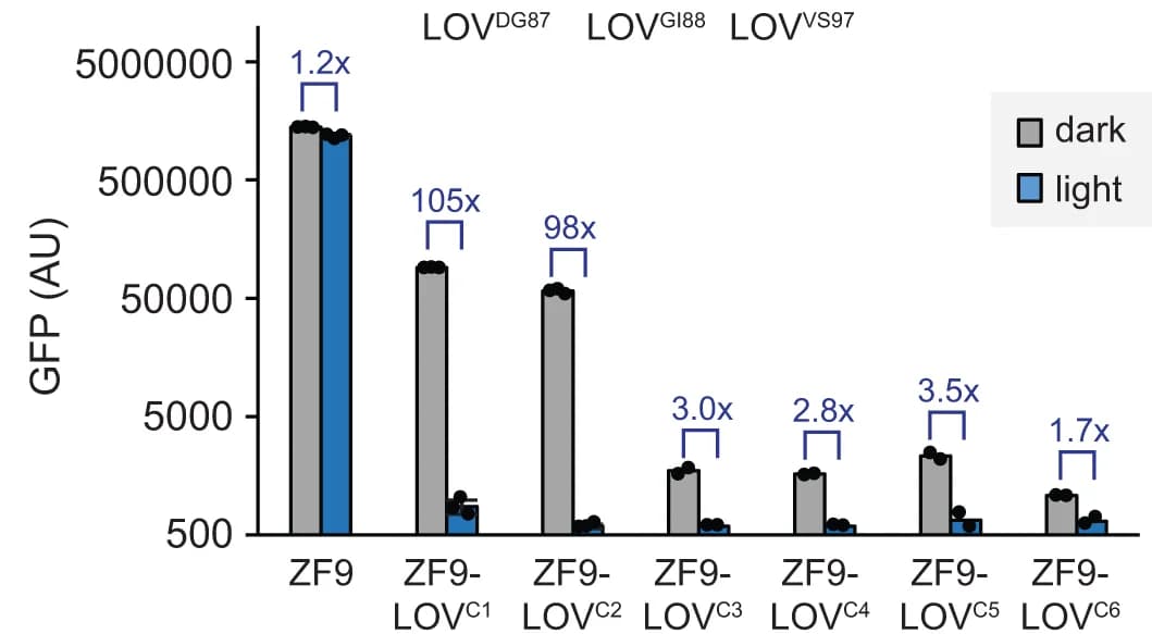 Open access visualization of Bar Plot, Error Bars, Clustered, Light-dependent transcriptional activity, ZF9-AsLOV2 variants