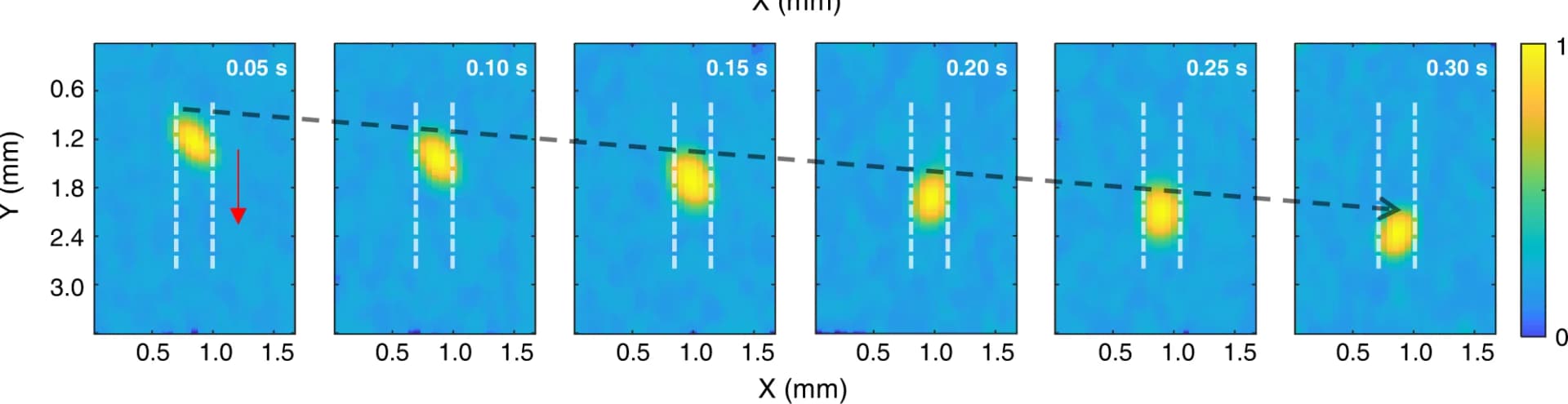 Open access visualization of Heatmap, Polystyrene Microsphere, Motion