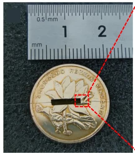 Open access visualization of Photo, Scanning Electron Micrograph, Micro-ring Sensor