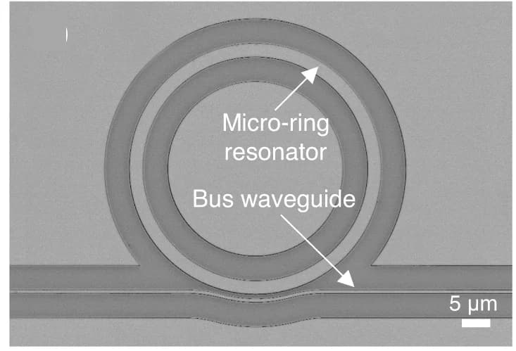 Open access visualization of Microscopy, Microscope Image, Chip, Micro-ring Sensor Arrays